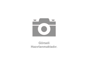 Öğretmenler Günü El İşi Saten Gül 10lu