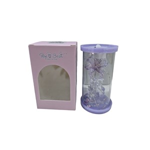 Kutulu 9u Işıklı Cam Fanus Sevgili Hediyelik