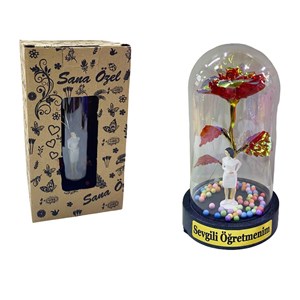 Öğretmenler Günü 10*18 Fanus Sonsuzluk Gül