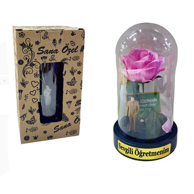 Öğretmenler Günü 10*18 Ters Fanus Gül