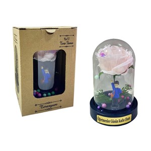 Öğretmenler Günü 9*13 Ters Fanus Gül