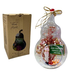 Öğretmenler Günü Armut Mini Teraryum 849