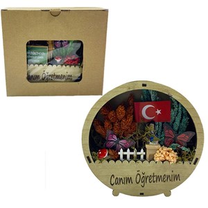 Öğretmenler Günü Mdf Teraryum Silindir Saksı