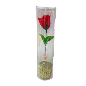 Öğretmenler Günü Simli Silindir Kutuda Gül