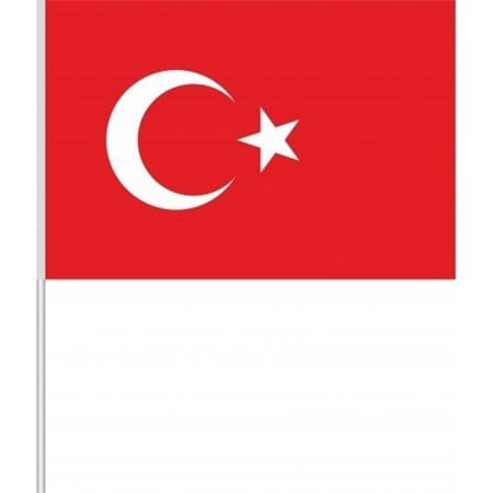 Bayrak Citali Kucuk Boy 100lu