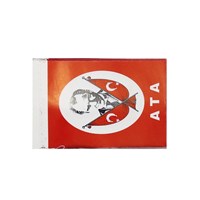 Bayrak Citali Kucuk Boy 100lu